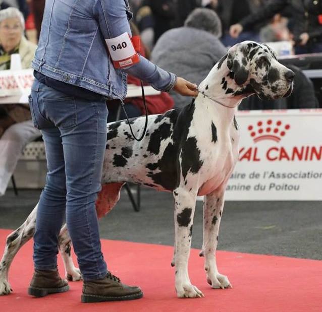 Orkane A La Lueur De Tiago