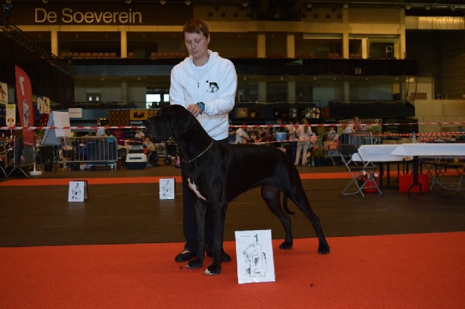 A La Lueur De Tiago - Lueur Noire Championne de Belgique!